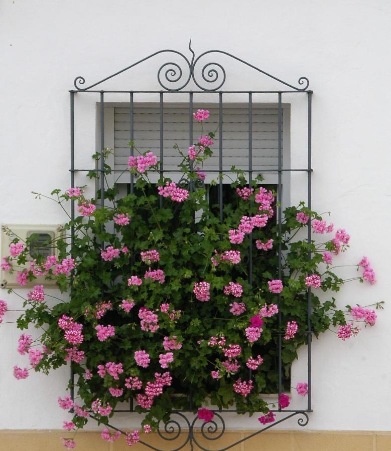 La Casa De Angela Villa Almodovar del Rio Bagian luar foto